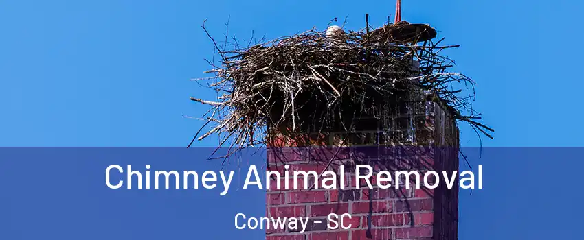 Chimney Animal Removal Conway - SC
