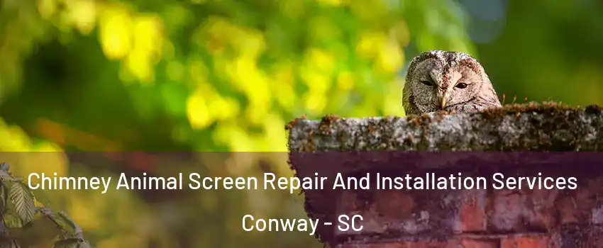  Chimney Animal Screen Repair And Installation Services Conway - SC