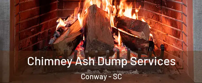  Chimney Ash Dump Services Conway - SC