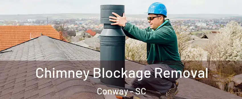  Chimney Blockage Removal Conway - SC