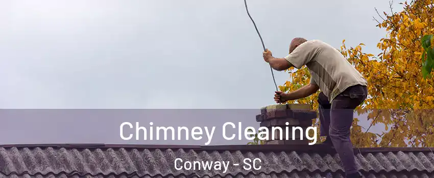  Chimney Cleaning Conway - SC