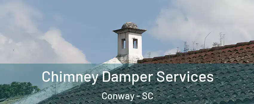  Chimney Damper Services Conway - SC