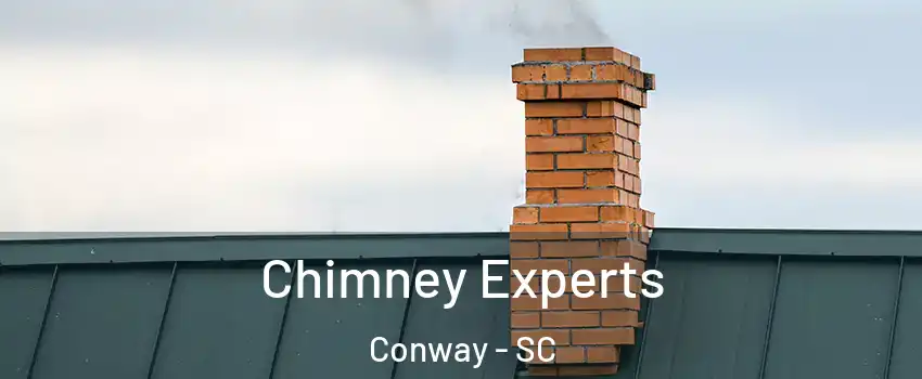  Chimney Experts Conway - SC