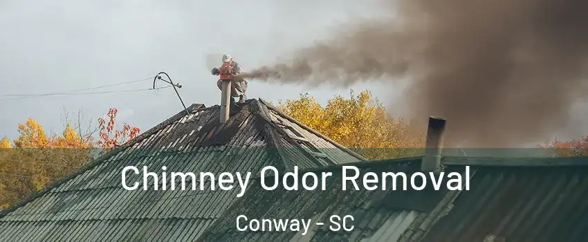  Chimney Odor Removal Conway - SC
