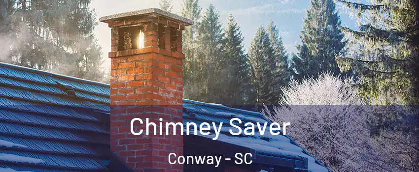  Chimney Saver Conway - SC