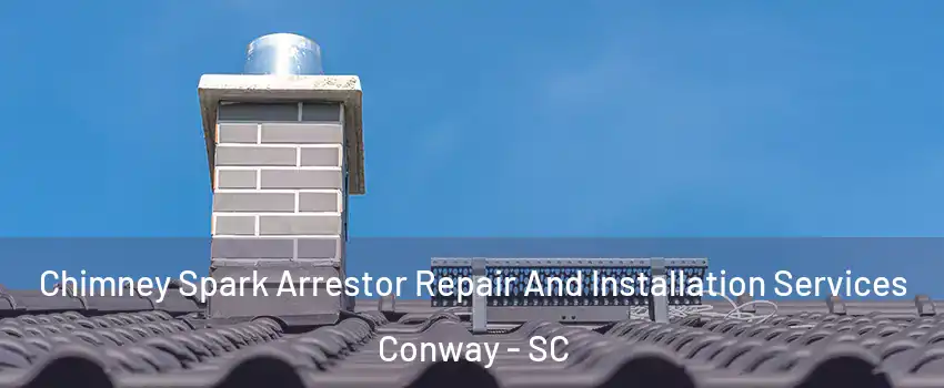 Chimney Spark Arrestor Repair And Installation Services Conway - SC