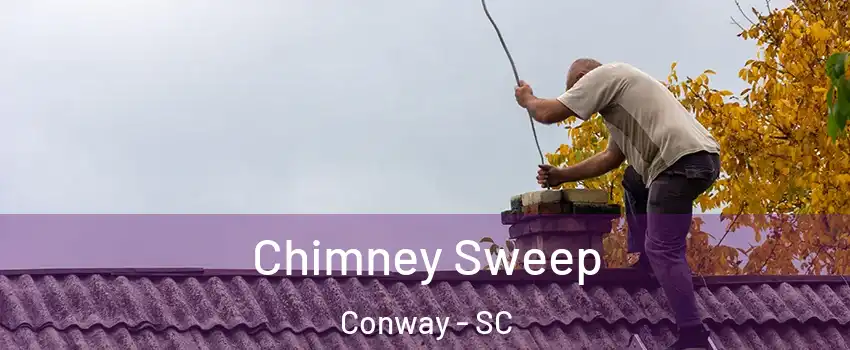  Chimney Sweep Conway - SC