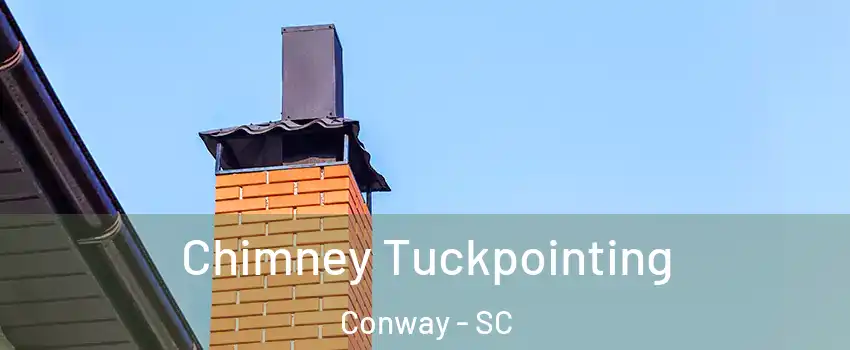  Chimney Tuckpointing Conway - SC