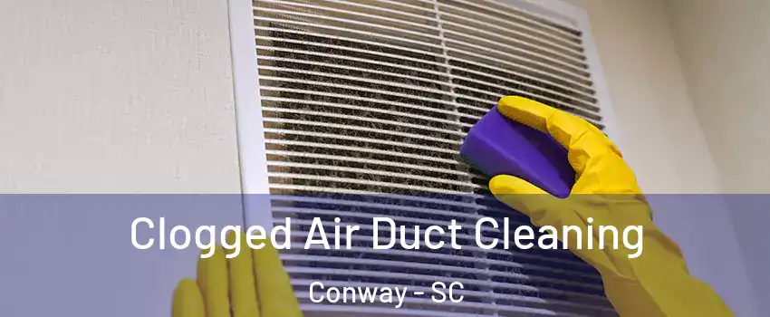  Clogged Air Duct Cleaning Conway - SC