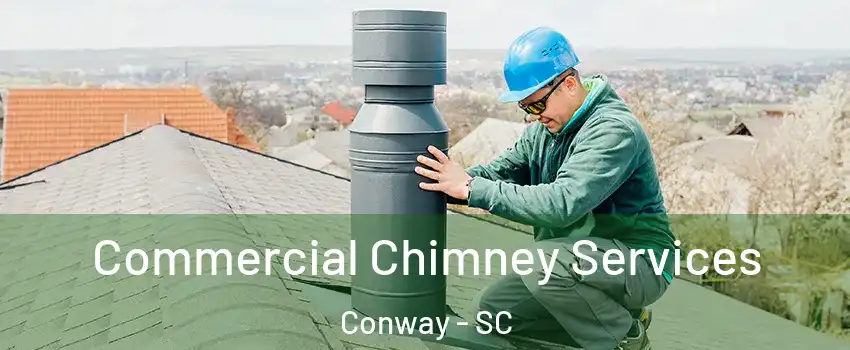  Commercial Chimney Services Conway - SC