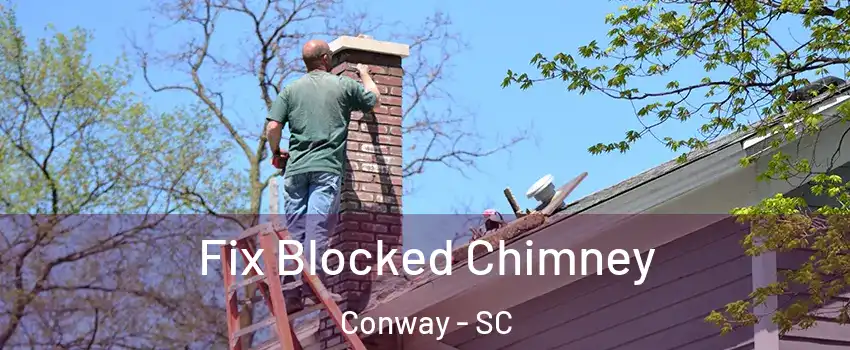 Fix Blocked Chimney Conway - SC