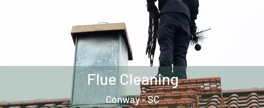  Flue Cleaning Conway - SC