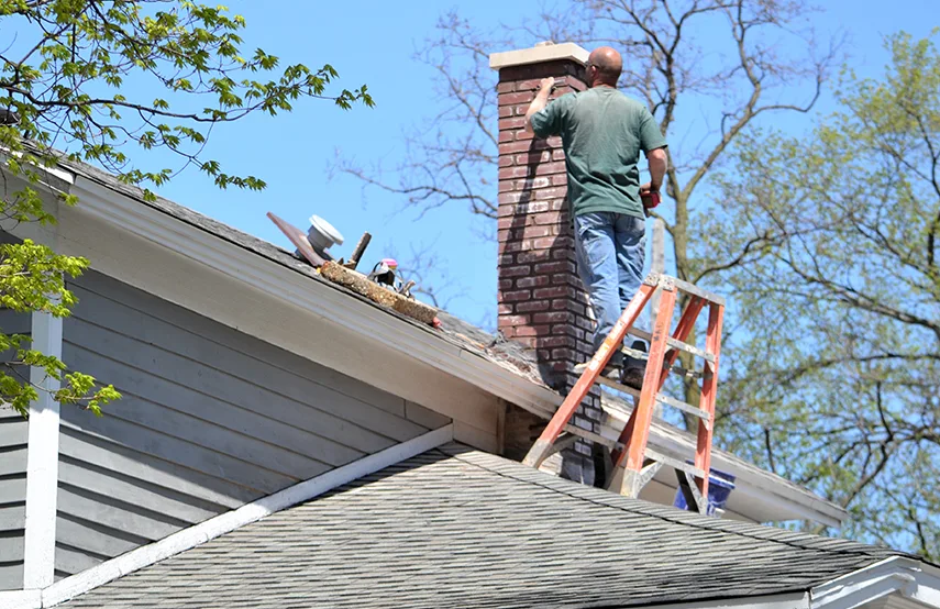 Chimney & Fireplace Inspections Services in Conway, SC