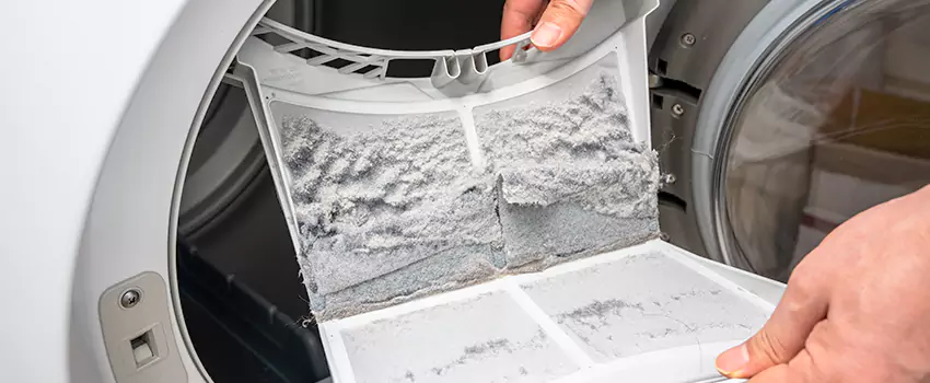 Best Dryer Lint Removal Company in Conway, South Carolina