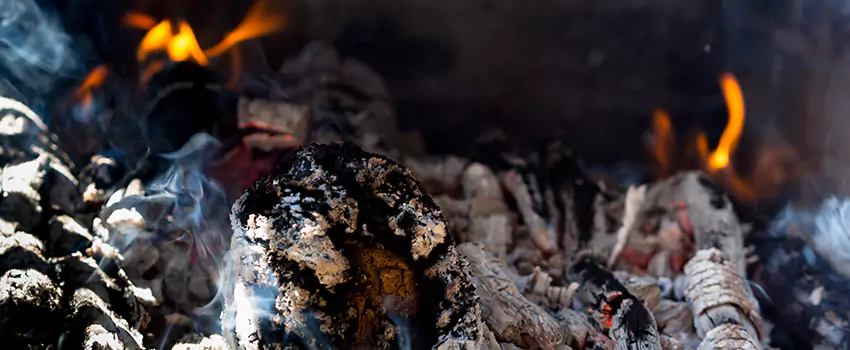 Creosote Removal Experts in Conway, SC