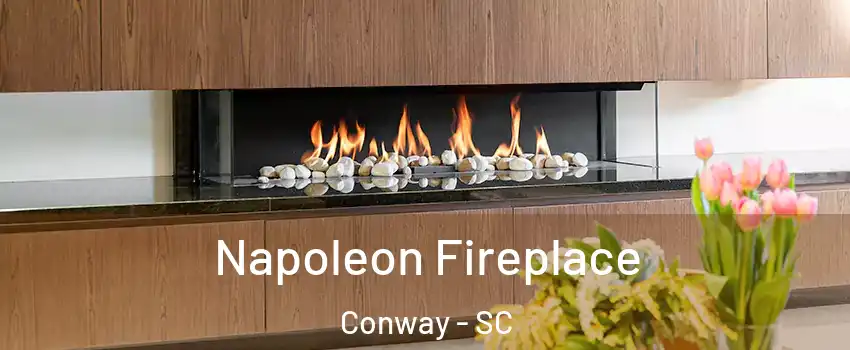  Napoleon Fireplace Conway - SC