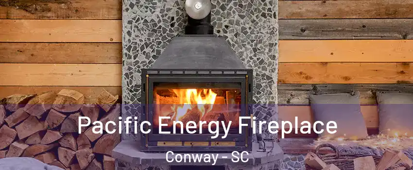  Pacific Energy Fireplace Conway - SC